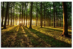 Obraz na stenu ZS - bez pomeru strán